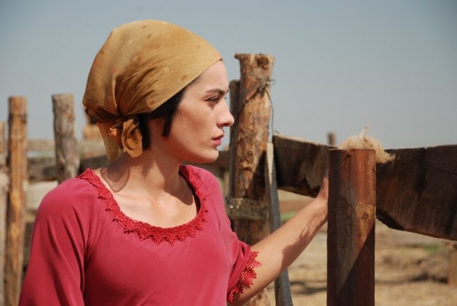 "Çölçü” filmi beynəlxalq arenada