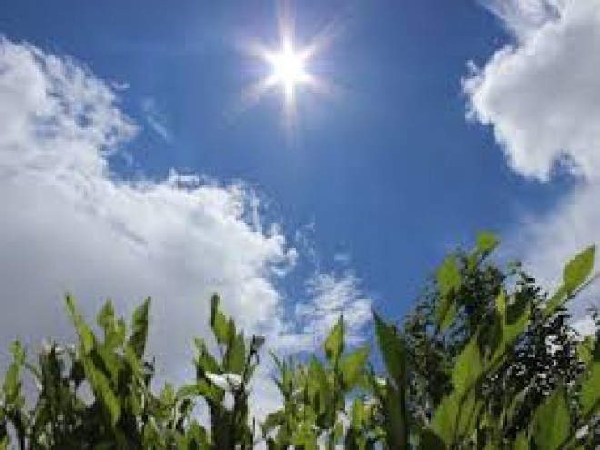 Bakıda hava yağmursuz keçəcək